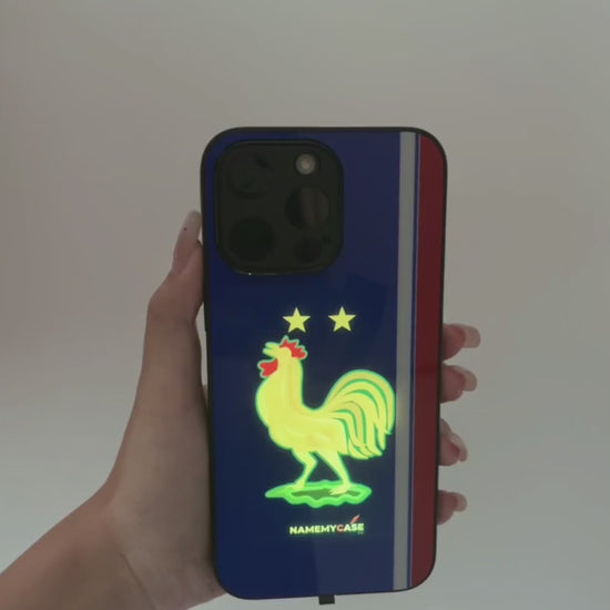 LED Light-Up iPhone Case - France